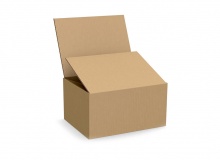 Full overlap slotted container - unprinted