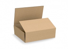 One piece folder - unprinted