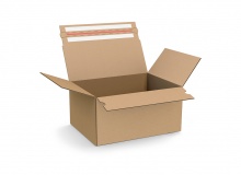 Faltkarton mit Automatikboden und Klebestreifen - FEFCO 0703