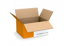 Faltkarton - FEFCO 0201